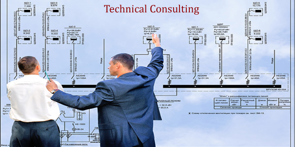 Technical Consultant