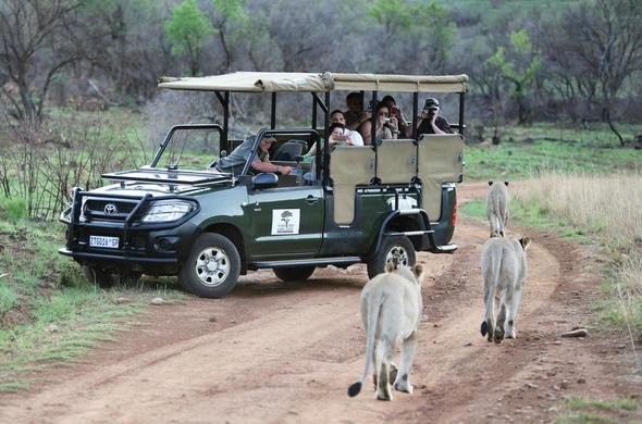 game reserves close to Johannesburg