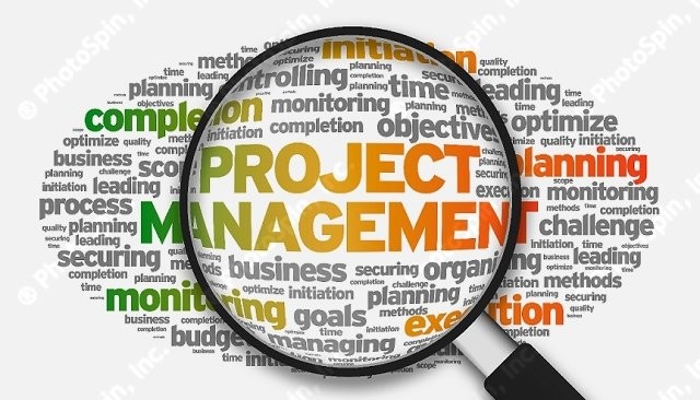 Business Project Manager