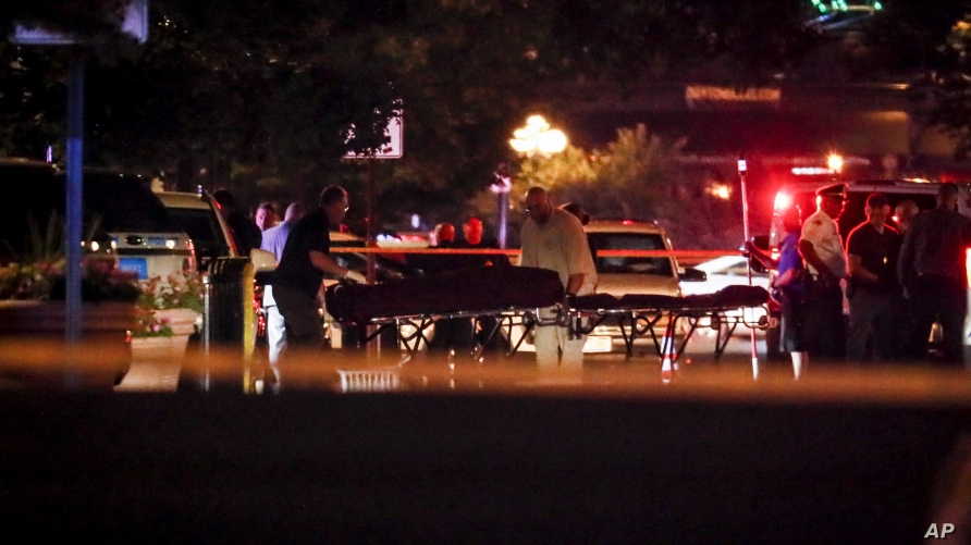 US shootings leave 29 dead