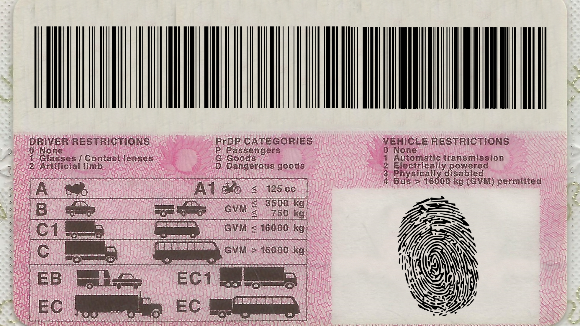 Driver's Licence Fraud