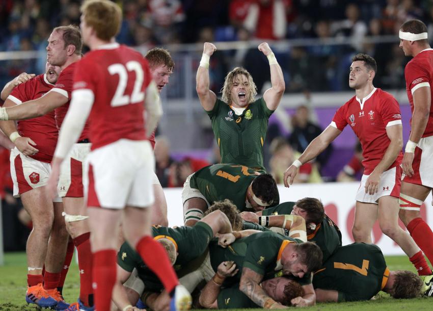 South Africa 19 - Wales 16