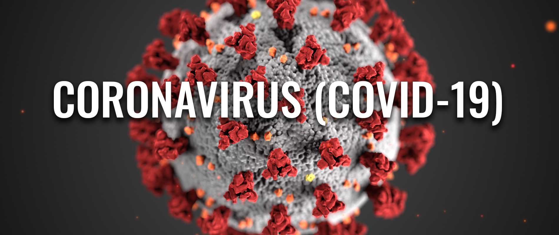 covid-19 Coronavirus