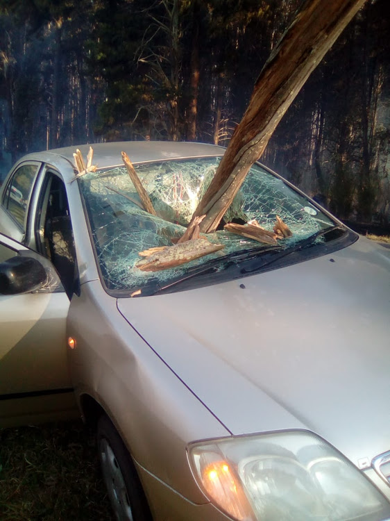 KZN driver lucky to be alive after falling branch almost impales him