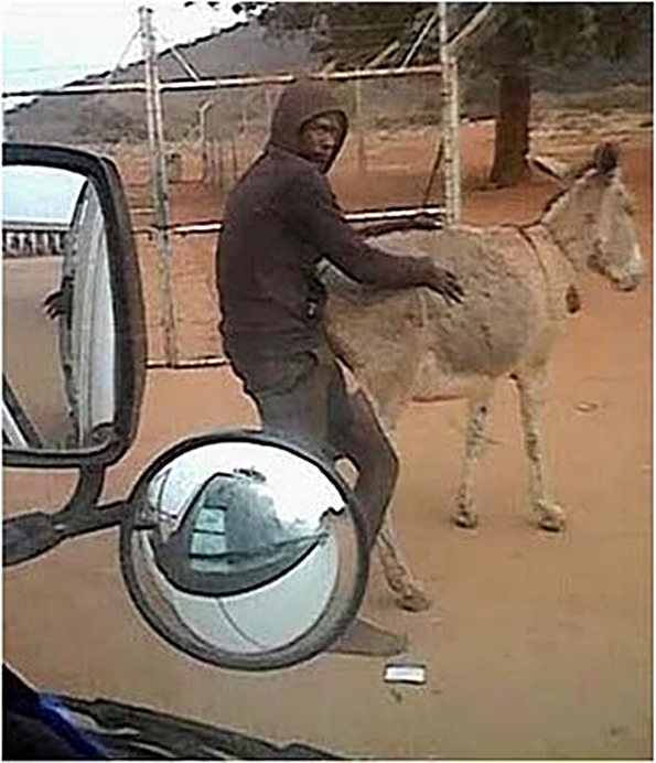 Man caught red-handed having s.e.x with Village leader's donkey
