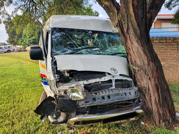Taxi bumps into a tree following accident