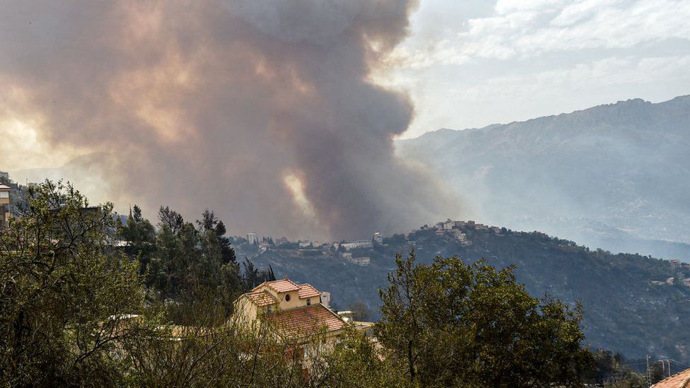 Algerian wildfires