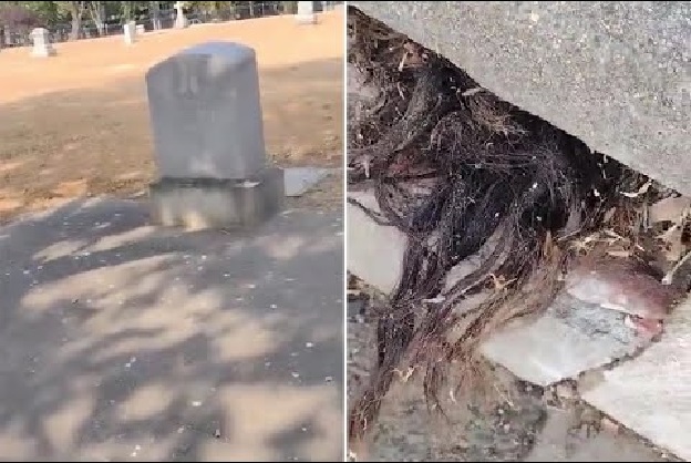 Man finds human hair coming out of the grave