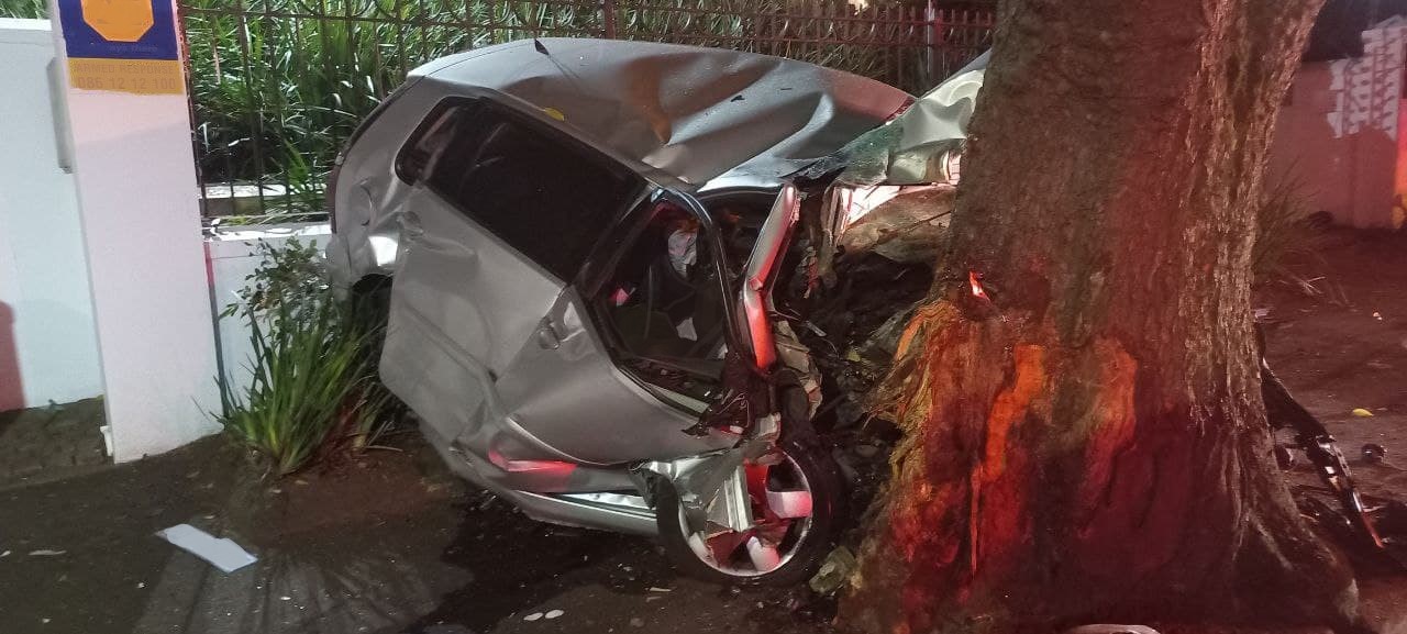 Driver killed after slamming into tree