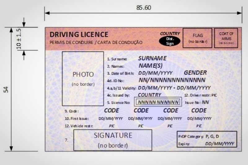 new driver’s licence card