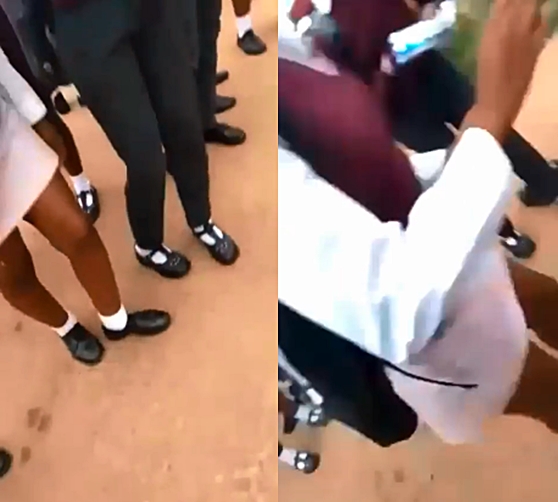 Bullying video of Grade 11 female pupil heavily slapping another pupil emerges