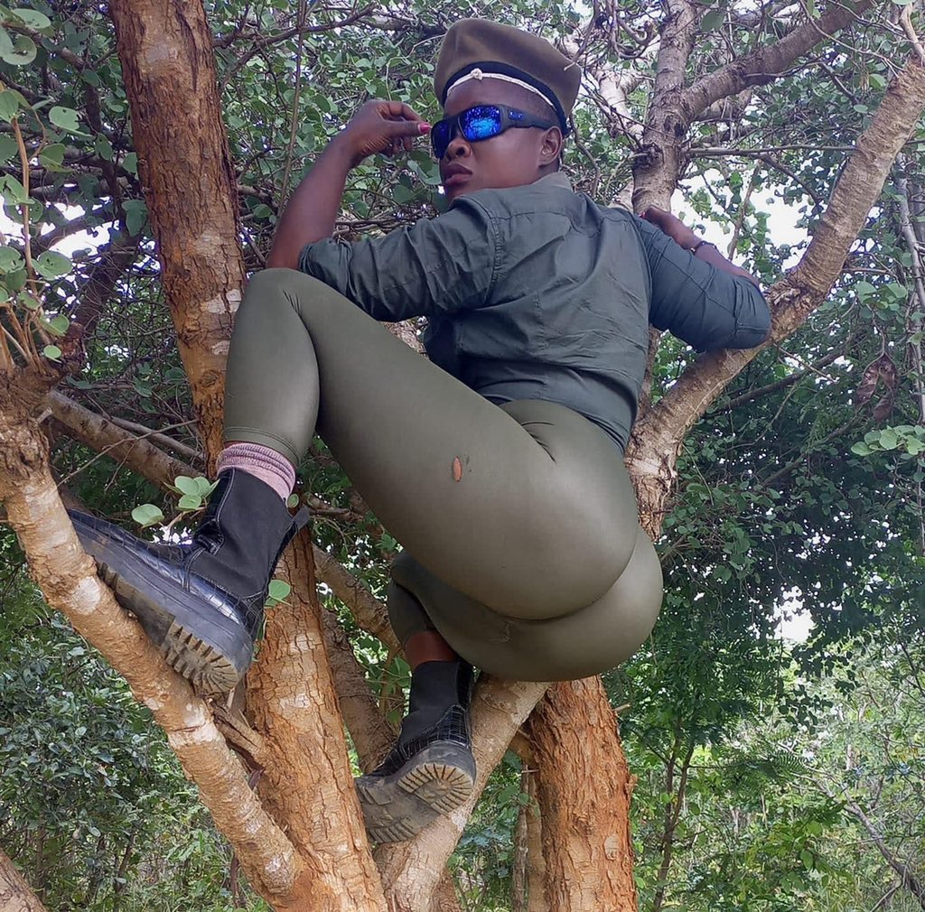 Social Media reacts to weird photos of this woman in a tree