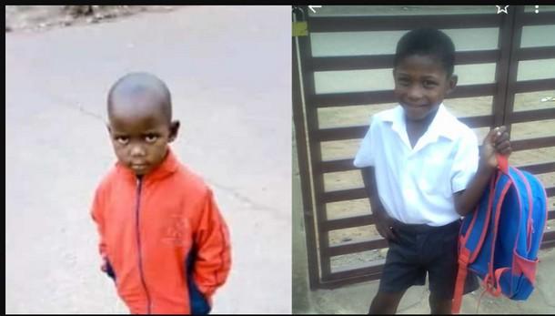 DA urges Gauteng cops to find the killers after 2 mutilated bodies of Soweto boys found