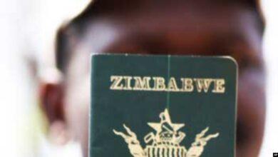 Zimbabwean passport in South Africa