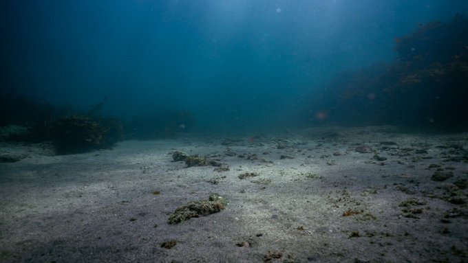 submersible missing near Titanic wreck