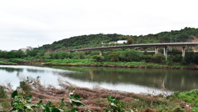 The Umgeni River water has turned greenish-murky due to the sewage spill that has contaminated the water
