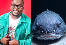 Sol Phenduka responds after Cyan Boujee called him a blue blob fish